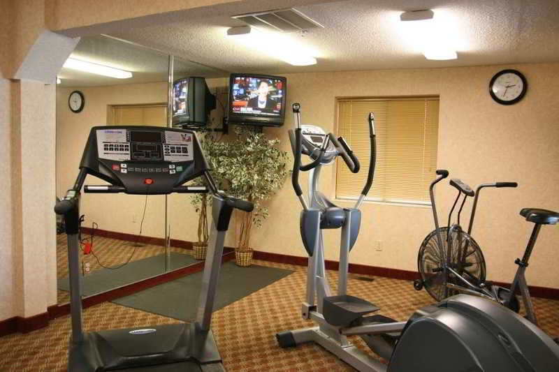 Hampton Inn Birch Run Fasiliteter bilde